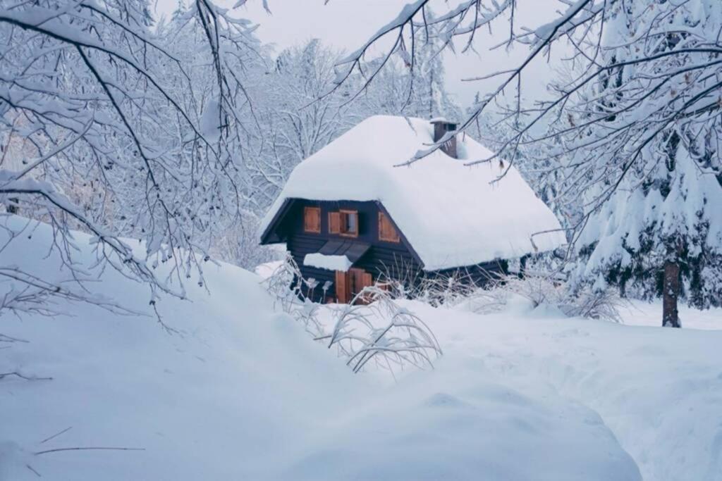 Cottage In The Woods - Lake Bohinj Esterno foto